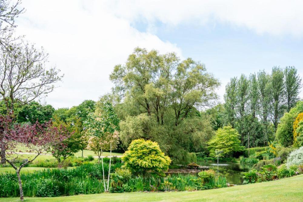 Pulley Mill Villa High Bickington Dış mekan fotoğraf