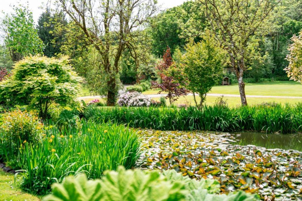 Pulley Mill Villa High Bickington Dış mekan fotoğraf